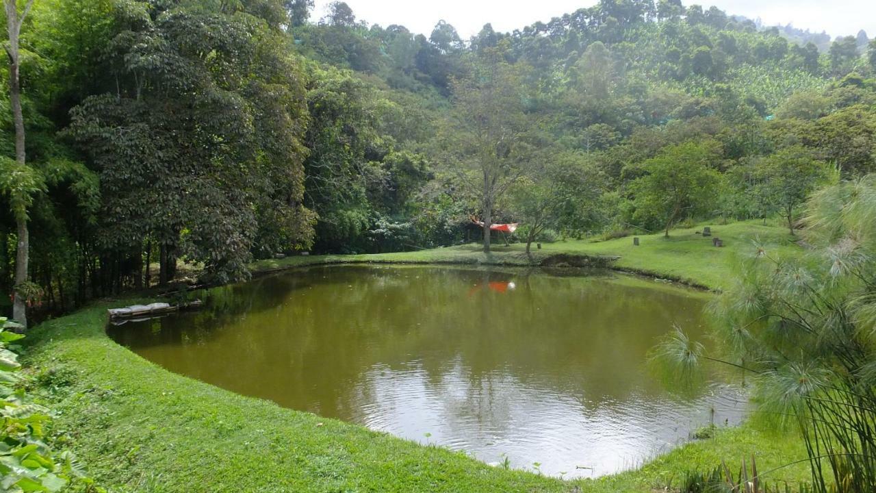 Sonarte Reserva Natural Cordoba  Extérieur photo