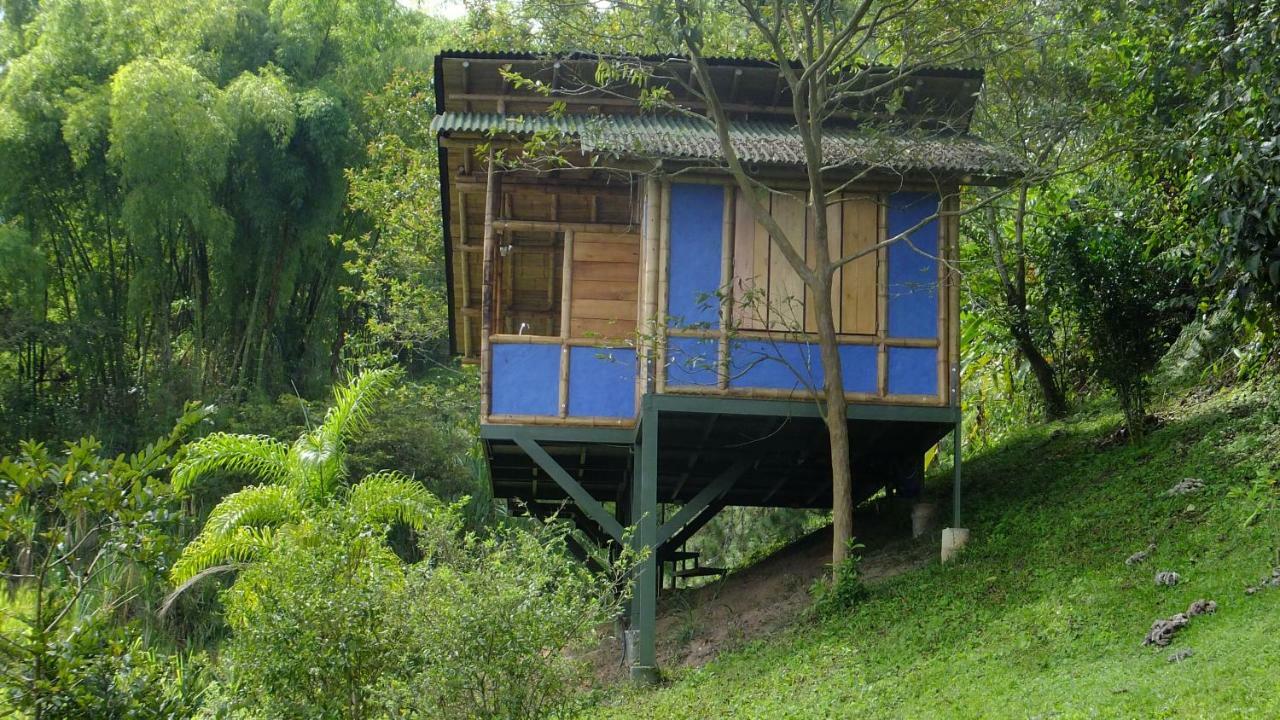Sonarte Reserva Natural Cordoba  Extérieur photo